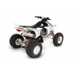 Ligne complète YOSHIMURA RS-2 Signature Series - Honda TRX 450R/ER 2