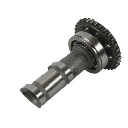 Arbre à cames échappement HOT CAMS - Niveau 1 Yamaha YFZ450 2