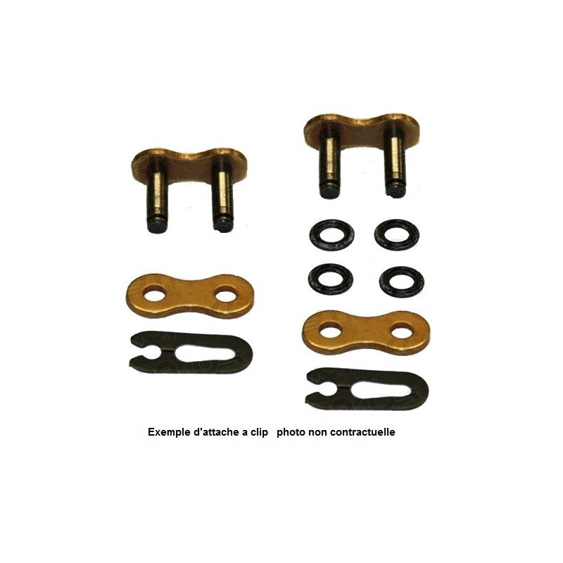 Attache rapide à clips A428OR4-G ARS GOLD