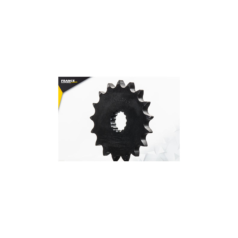 PIG DTR/TDR.125 '88/02 17 428