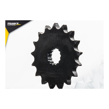 PIG DTR/TDR.125 '88/02 17 428