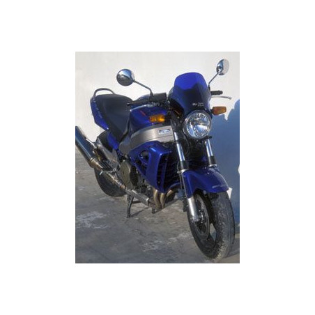 SAUTE VENT MINI SPRINT 22cm POUR SUZUKI SV 650 99/02