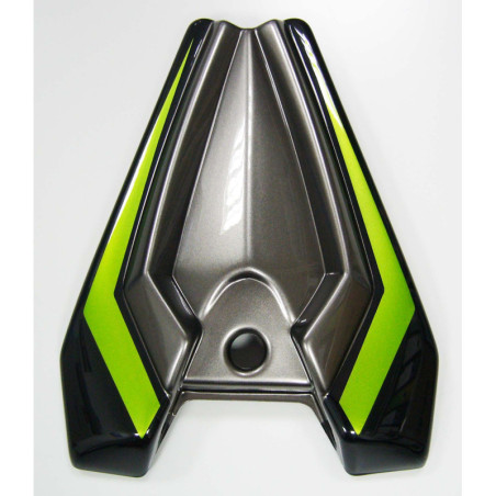 Capot de selle Ermax pour Z 1000 2014/2020 
