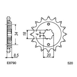 CMX.250.C REBEL'96/00 14X31 RK520FEX  (MC13) 2