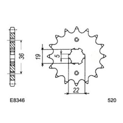 TRX.250 '86/89 13X38 RK520MXZ 2
