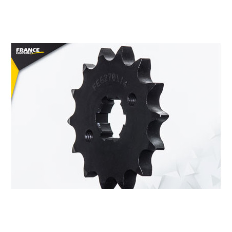 125.FLAT TRACK '21 14X64 RK428MXZ