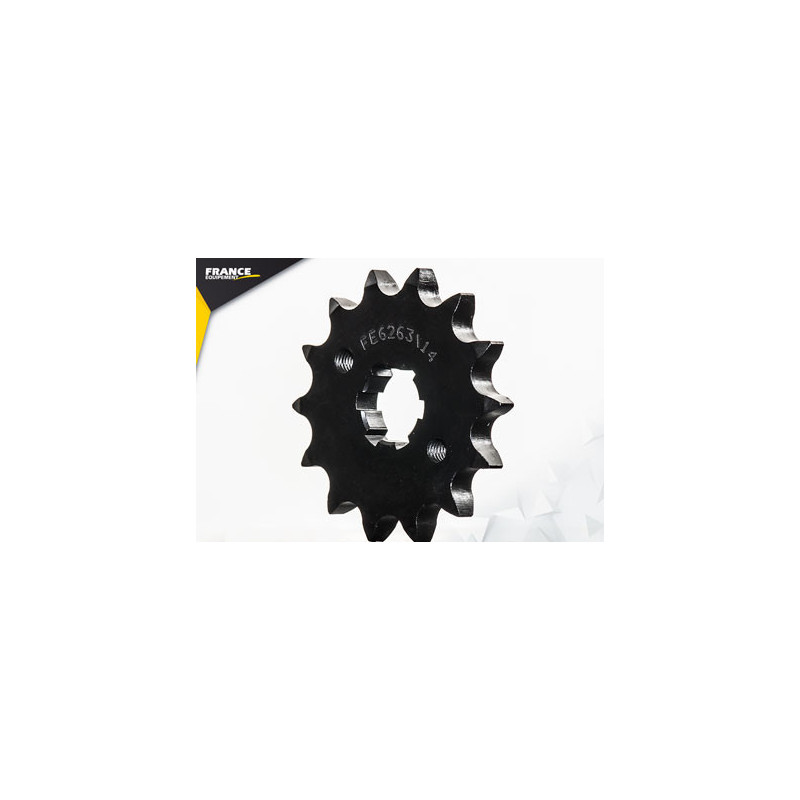 125.RS2 NAKED '06/09 14X46 RK428FEX 125.RS2 PRO '09