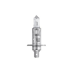 AMPOULE PHARE HALOGENE OSRAM H1 P14,5S 12V55W