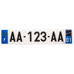 Plaques Françaises PPI 520x110 SIV Département 91 PVC + fonds blanc 10 pièces