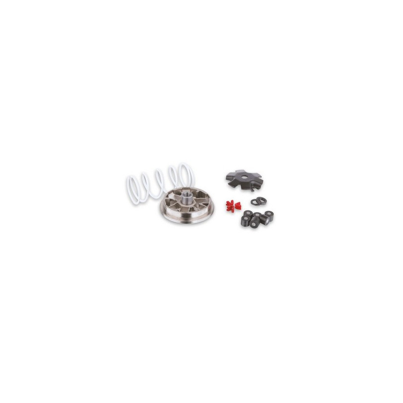 Variateur Malossi standard