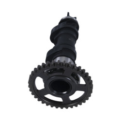 Arbre à cames simple HOT CAMS - niveau 2 2