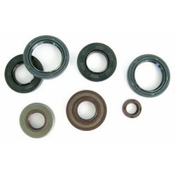 Joint spy MGR-S PARAOLIO SC 20X30X7 ATHENA