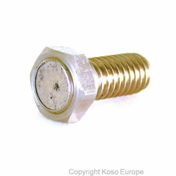 KOSO Magnet screw for brake disk (M8 x P1.25 x 29L) 2