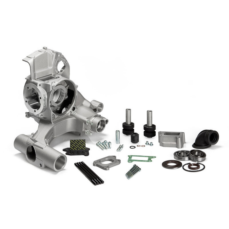 Carter moteur MALOSSI