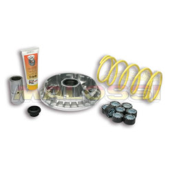 Variateur Malossi Multivar Suzuki Burgman 400