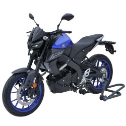Saute vent sport ERMAX Yamaha MT 125 2